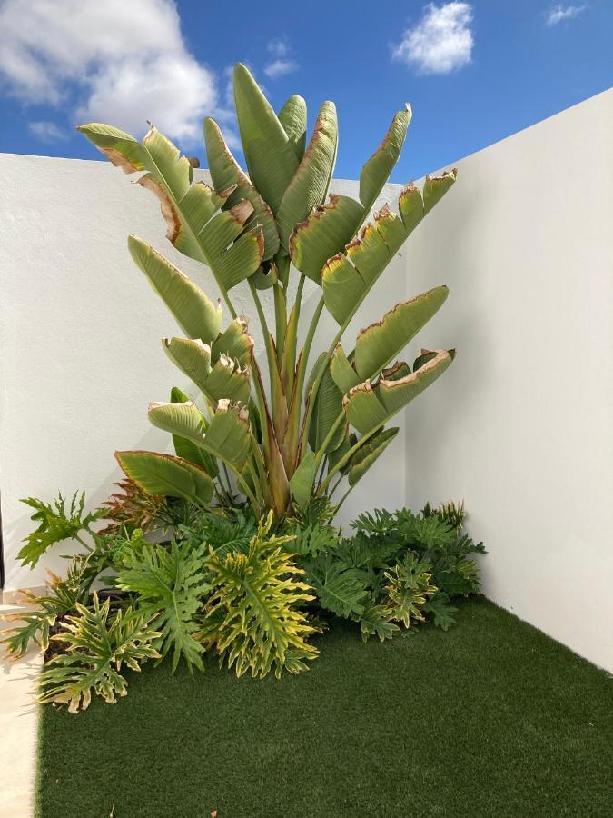 Vila Casa Alice Playa Blanca  Exteriér fotografie