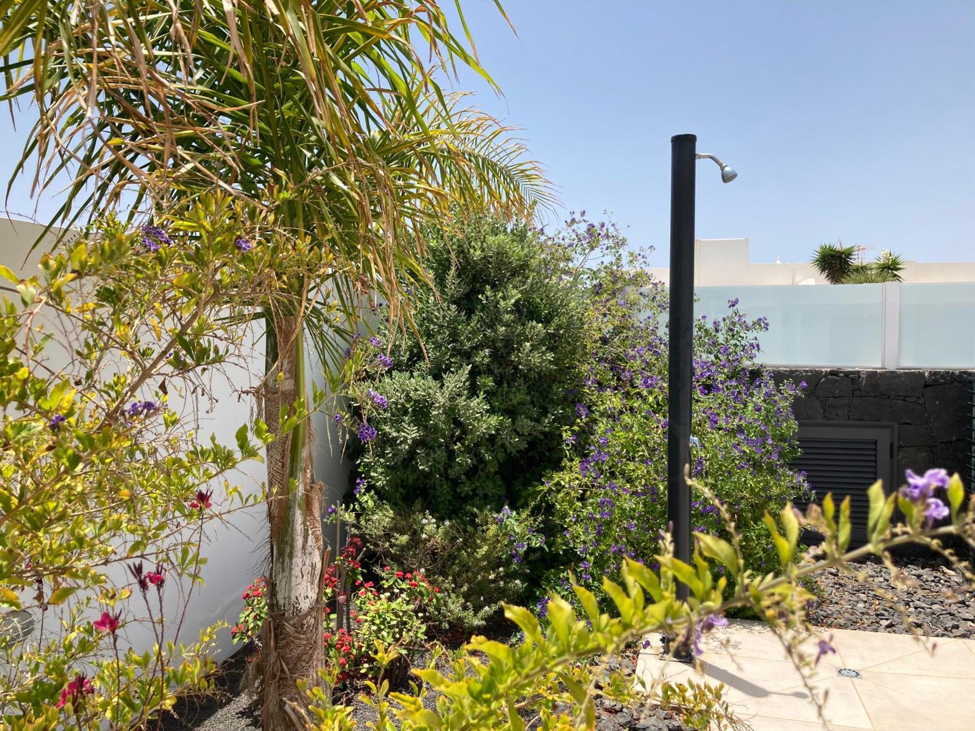 Vila Casa Alice Playa Blanca  Pokoj fotografie